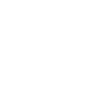 Hidden Motorsports logo