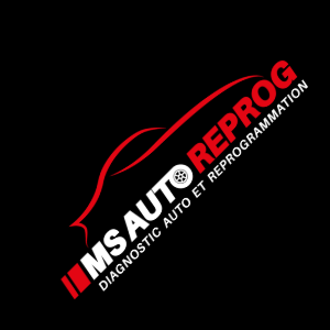 MS Auto Reprog logo