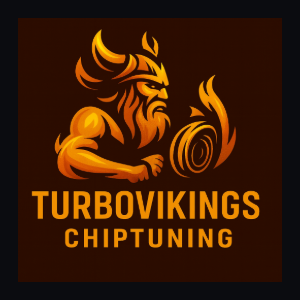 TurboVikings logo