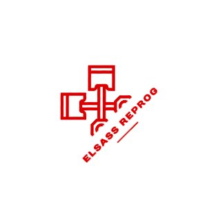 Elsass Reprog logo