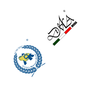 DAMA Motorsport Garage logo