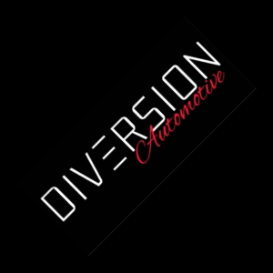 Diversion Stores LTD logo