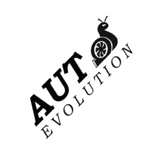 Chip Tuning logo