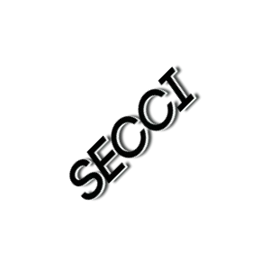 Secci Rettifiche Motori logo