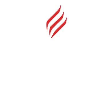 Neil Brown Engineering Ltd logo