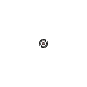 Precision Dynamics Motorsport logo