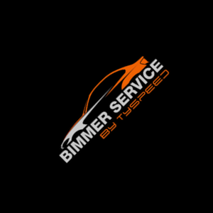 TYSPEED logo