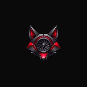 TSM Performance logo