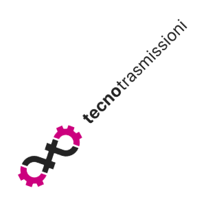 Tecnotrasmissioni Srl logo