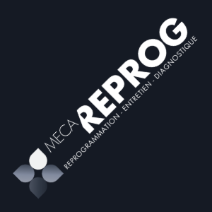 Meca Reprog logo
