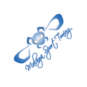 Málaga Sport Tuning logo