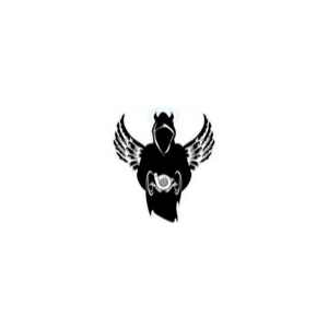 Angelonero Performance logo