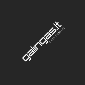 Galingas LT logo