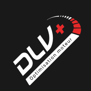 DLV Plus logo