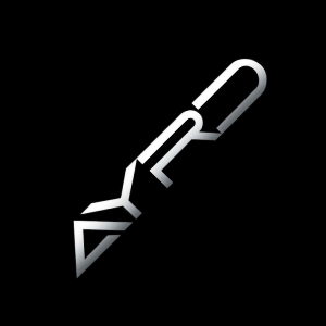 AYRD Automotive logo