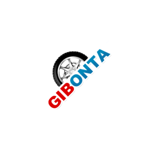 Gibonta logo