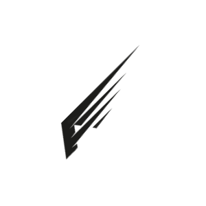 ASD PERFORMANCE logo