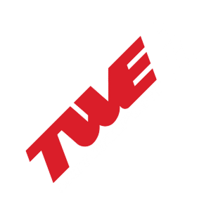 TWEmotorsport - España Reprogramación de Centralitas Motor Coches logo