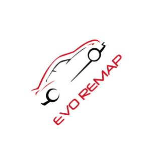 EVO REMAP logo
