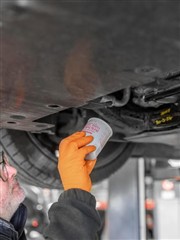 Photo from Litchfield Motors