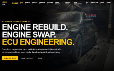 Top of the website for LOZIC USA