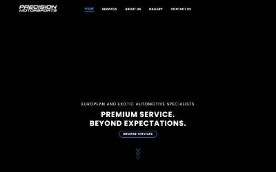Top of the website for Precision Motorsports