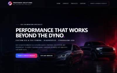 Top of the website for Protuner Solutions