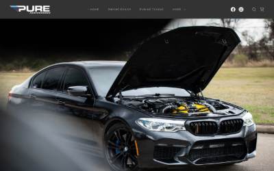 Top of the website for Pure Performance