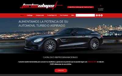 Website preview for Turbo Chips