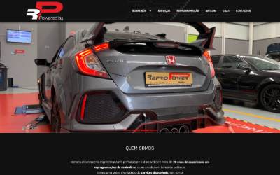 Website preview for ReproPower