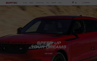 Website preview for BORTEC