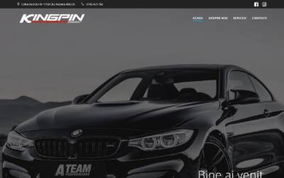 Website preview for SC King Pin SRL