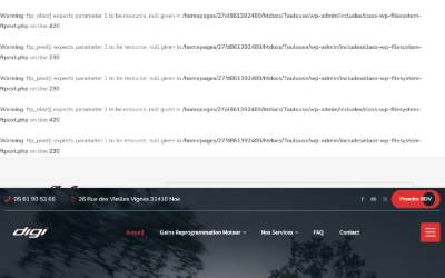 Top of the website for Digiservices Sud-Ouest