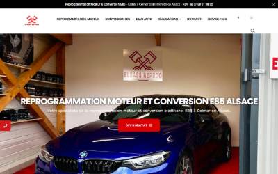 Top of the website for Elsass Reprog