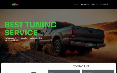 Top of the website for ECOMAX REMAPPING EAST LONDON