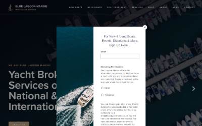 Top of the website for Blue Lagoon Marine Engineering, Services & Eberspacher Dealership