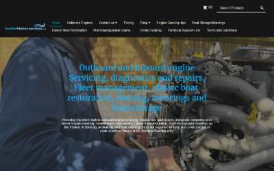 Top of the website for DavidwMarine services LTD