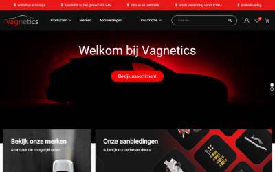 Top of the website for Vagnetics