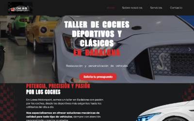 Top of the website for LOESS MOTORSPORT