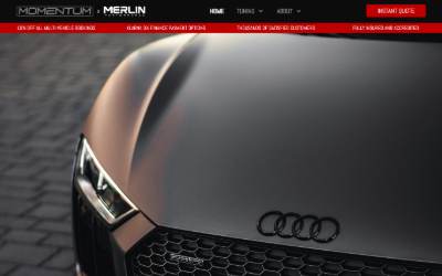 Top of the website for Momentum Tuning