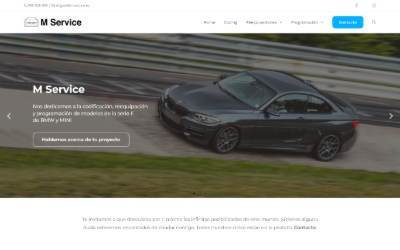 Top of the website for M-Service