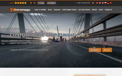 Website preview for TC performance