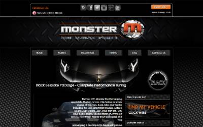 Website preview for MECS