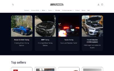 Top of the website for BTWTuning LLC