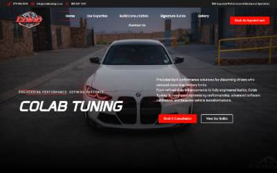 Top of the website for Colab Tuning