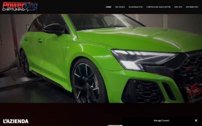Website preview for PowerKing