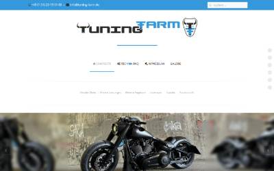 Website preview for Boost-Chip Performance