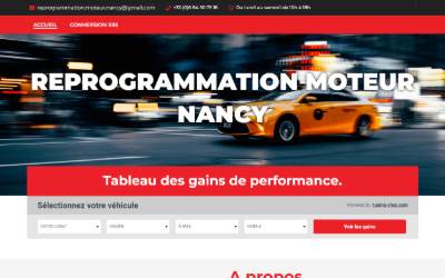 Website preview for Reprogrammation Moteur Nancy