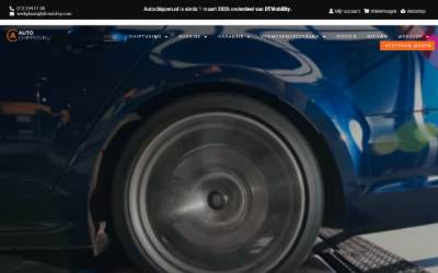 Website preview for Auto-chippen.nl