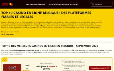 Website preview for Chiptuning - Hs-tronic Maldegem